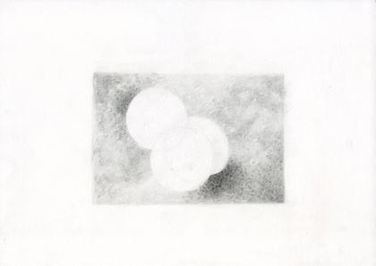 small study 09_ Inflorescence