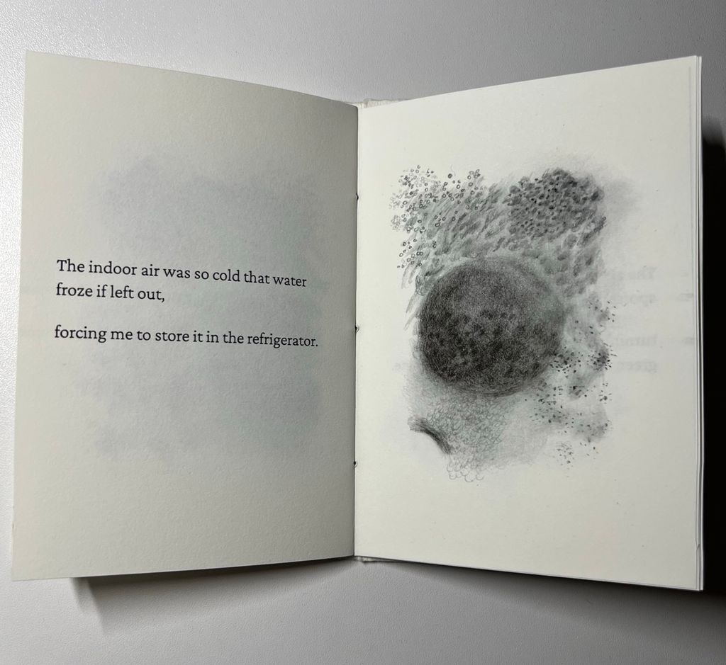 Artist Book_Sprout detail 3