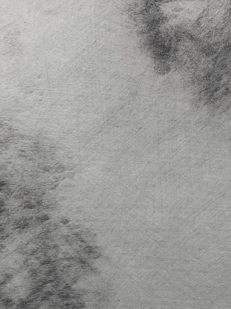 Started with longer lines detail 4