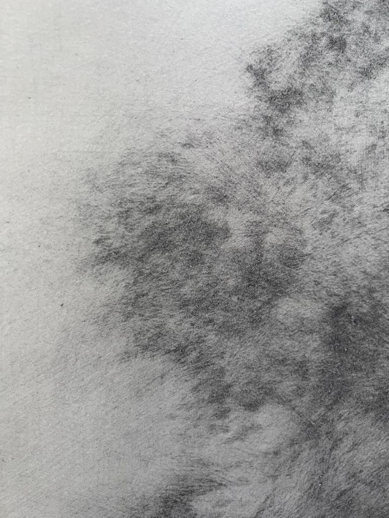 Started with longer lines detail 7