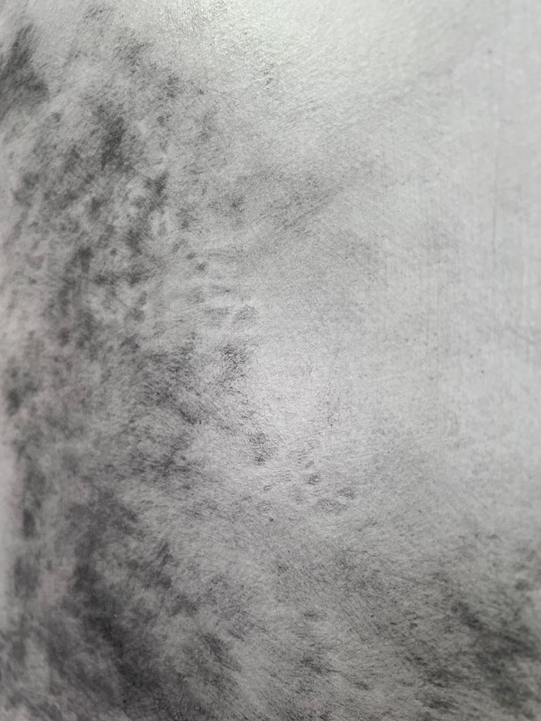 Started with longer lines detail 8