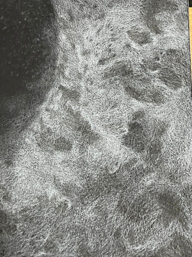 White on Black detail 1