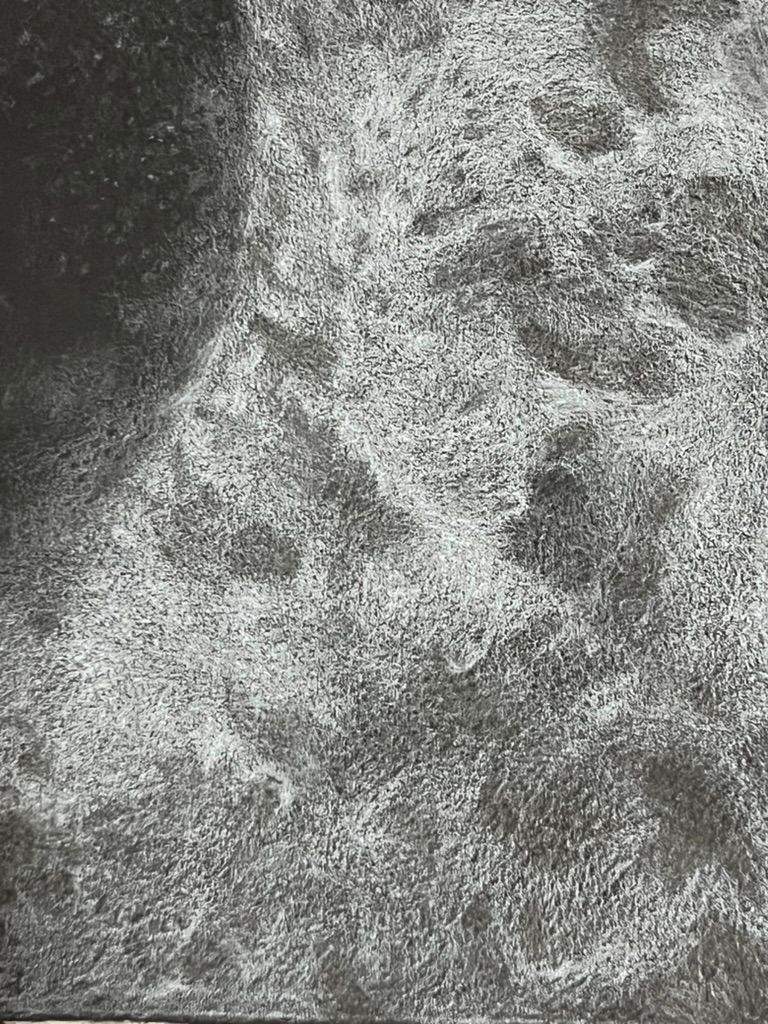 White on Black detail 2