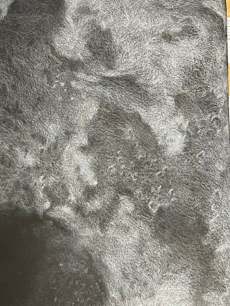 White on Black detail 5