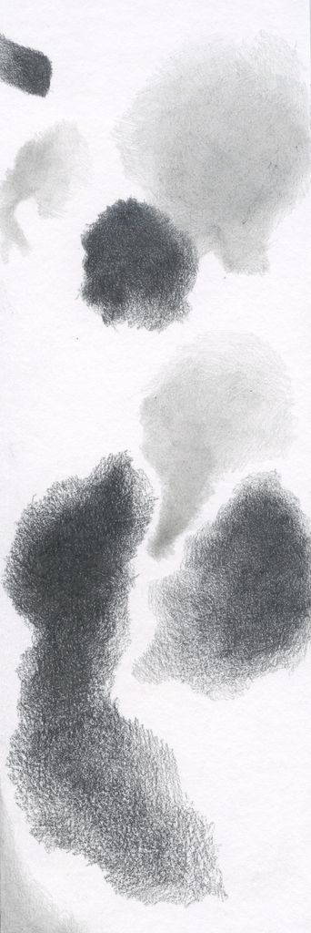 No. 031
