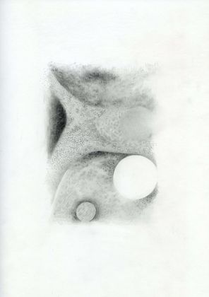 small study 16_Integument