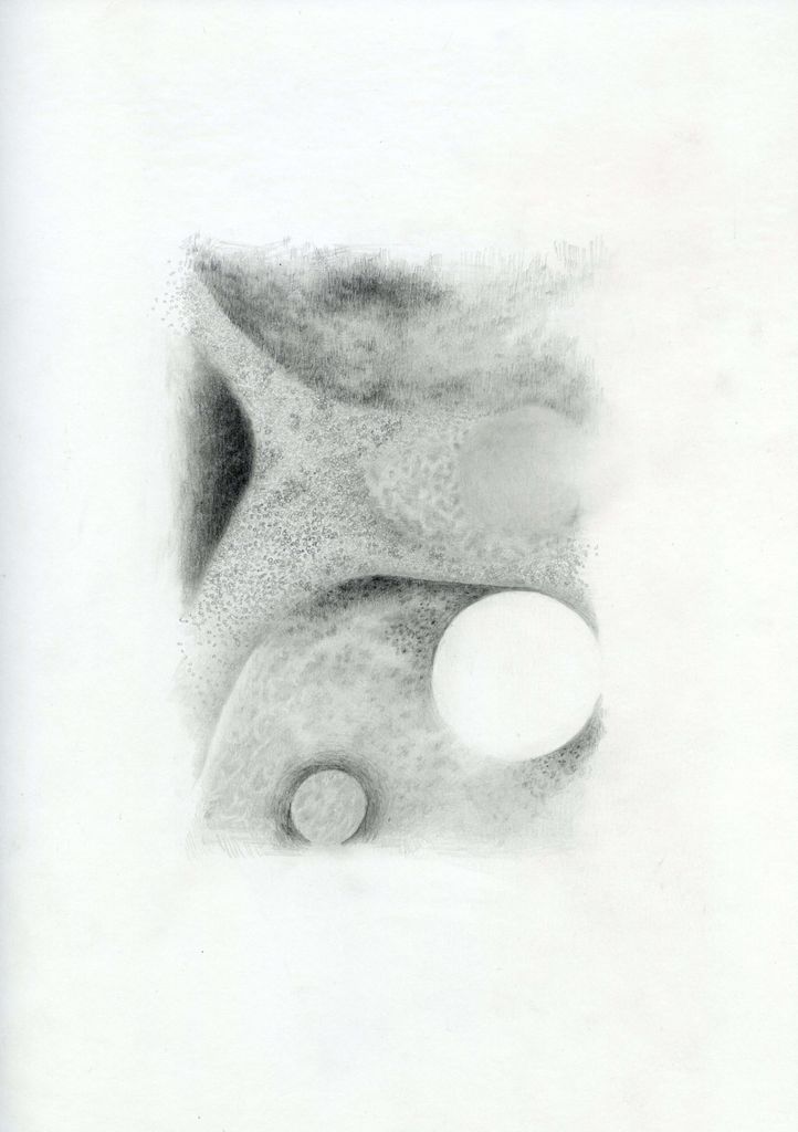 small study 16_Integument