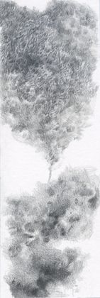 No. 050